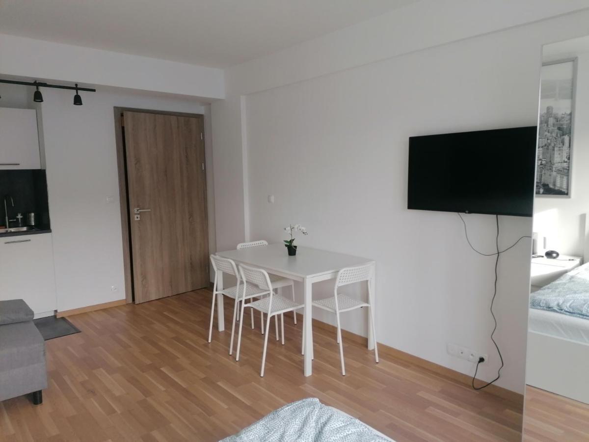 Brand New Studio Apartment # 45 With Free Parking In The City Center 布拉格 外观 照片